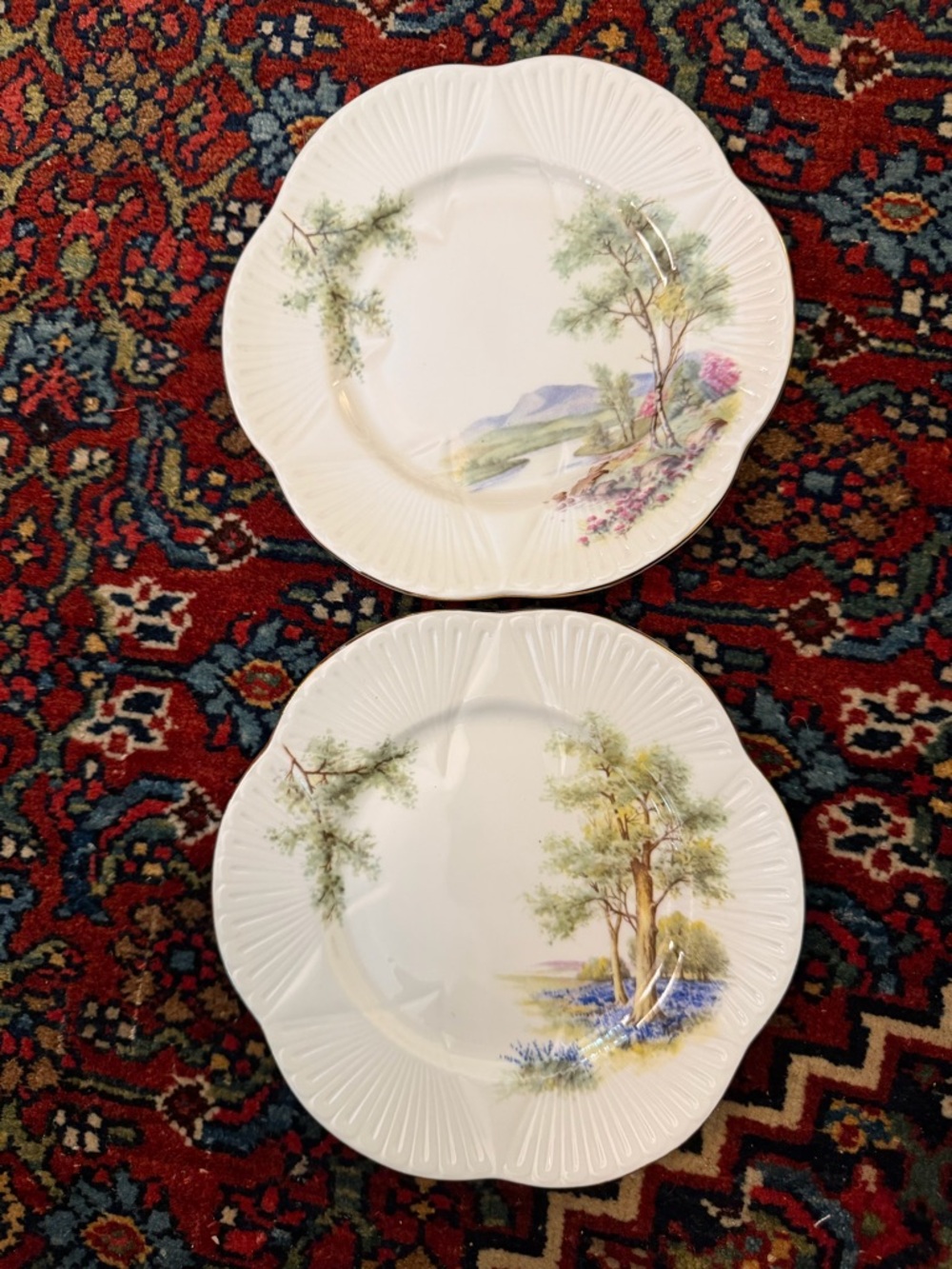 2 Rare Shelley England Fine Bone China Plates